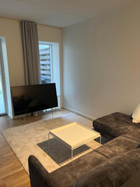 Charming Aalborg Apartment With parking Aalborg